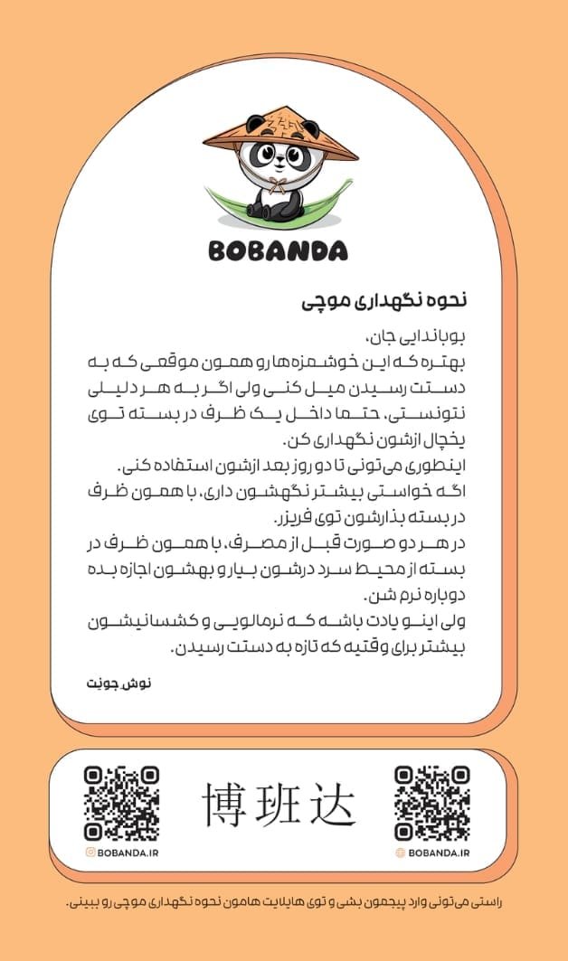 نحوه نگهداری موچی